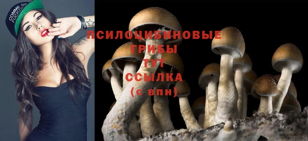COCAINE Алексеевка