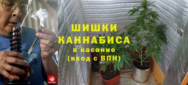 ГАЛЛЮЦИНОГЕННЫЕ ГРИБЫ Абаза