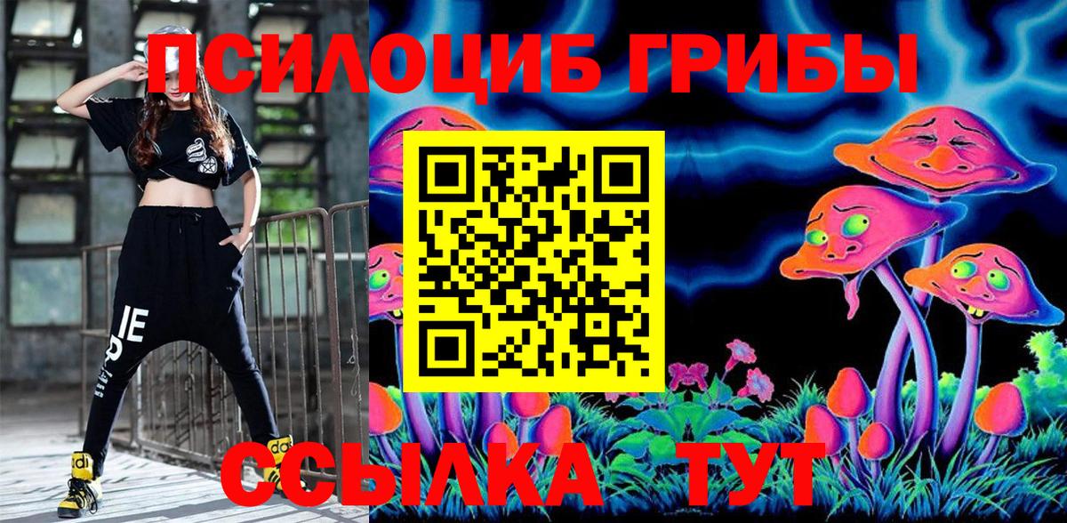 Псилоцибиновые грибы Cubensis Лабытнанги