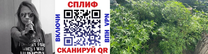 Марихуана планчик  Лабытнанги 